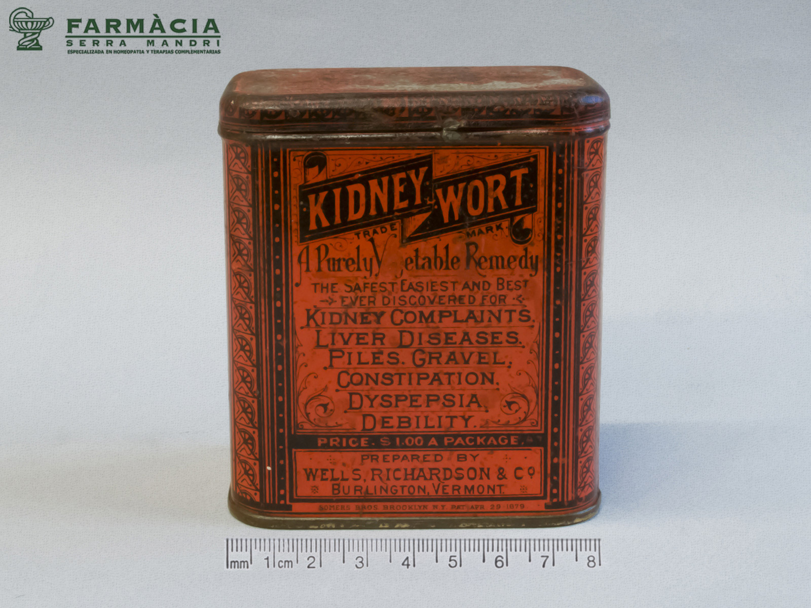 Foto 17. Kidney Wort